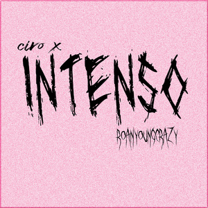 INTENSO