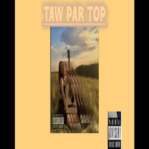 Taw Par Top