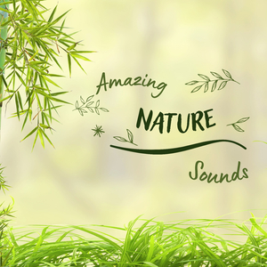 Amazing Nature Sounds