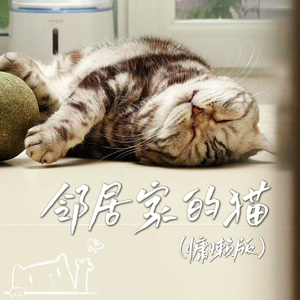 邻居家的猫（慵懒版）