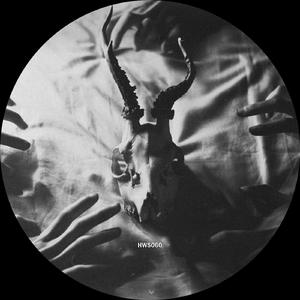 Nocturnal Forces (Original Mix)
