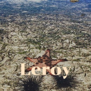 Leroy