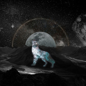 Looking at the Stars