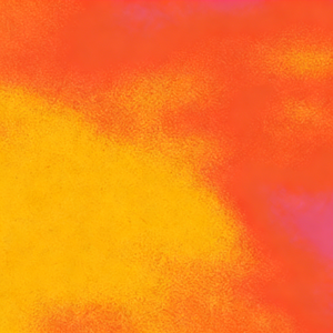 发现你，也发现了我