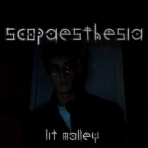 Scopaesthesia