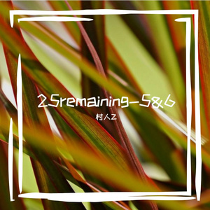 25remaining-6-4(intact ni