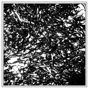 intro mix 01