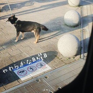 やわらかな日曜日