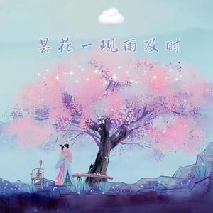 昙花一现雨及时（翻自 周深）