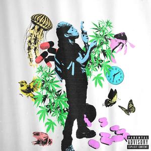 Roxies (feat. Polo Youngin, DJ BLAT & Evergrowth)