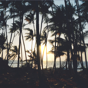 EY Beat Jersey club1 BPM140 D Major