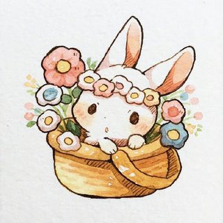 平安顺遂❤️
