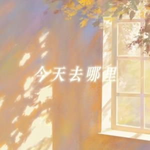 今天去哪里（抖音热播版）