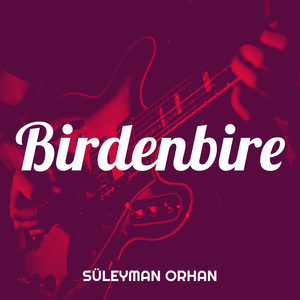 Birdenbire