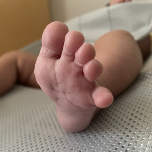 しあわせのうた