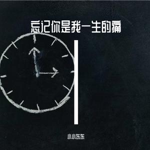 忘记你是我一生的痛