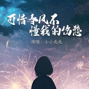 可惜春风不懂我的伤悲