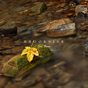 Brookside