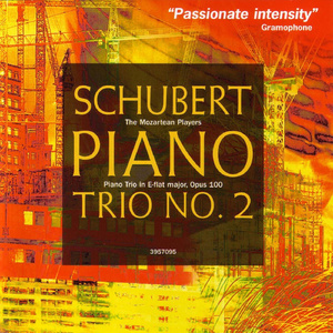 Piano Trio in E-Flat Major, Op.100 (D.929): II. Andante con moto