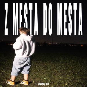 Z Města Do Města