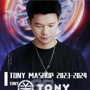 TizzyT /万妮达-冷战(TONY MASHUP)