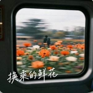 换乘的鲜花