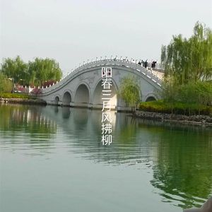 阳春三月风拂柳