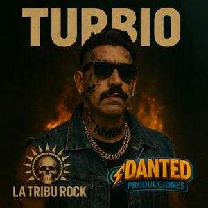 Puercos