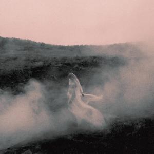 Yaro Taxlome(Instrumental)