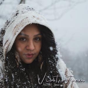 Vinterstorm