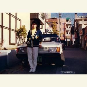 형광등 아래 놓인 말