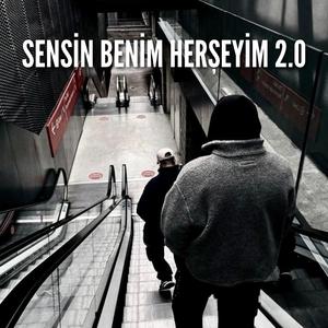 Sensin Benim Herşeyim 2.0 (fieszxrd & Rewa INC. Remix)