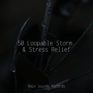 The Murky Melody of Croak Creek