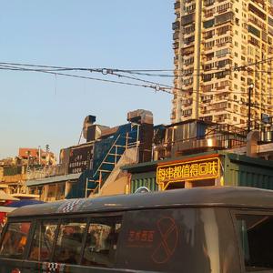 萨克斯 海 岸 线