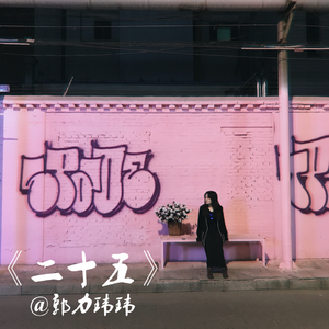 二十五（demo）