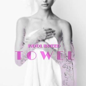 Towel
