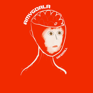 Amygdala (Instrumental)