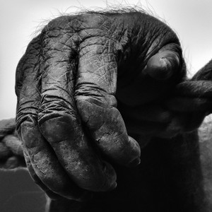 Genco (Remastered 2024)