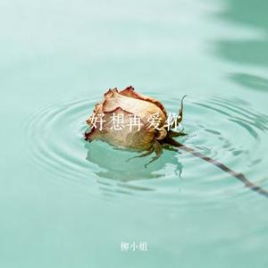 好想再爱你 (Cover 林咏诗)
