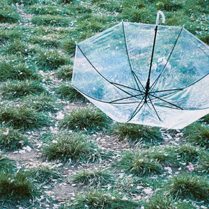 小さな恋のうた