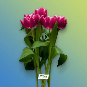 I Don't Wanna Lose You