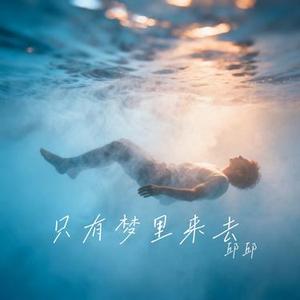 只有梦里来去 (邱邱 Remix)