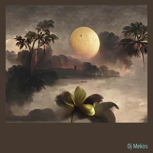 डीजे गोयांग गोयांग