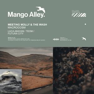 Macrocosm (Futura City 'Perpetual Dusk' Rework)