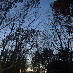 好像掉进了爱情海里