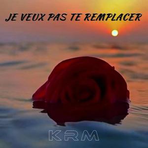 Je veux pas te remplacer