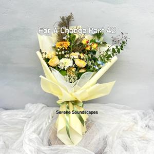 Right Brain Left Brain