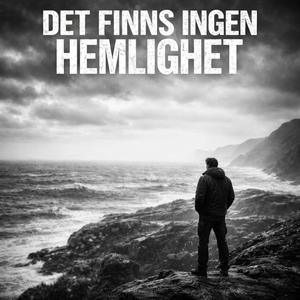 Det finns ingen hemlighet