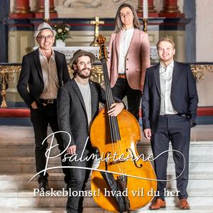 Påskeblomst! hvad vil du her