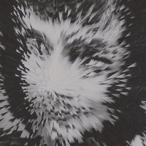 Sungaze (I Have Never Stayed So Long. . . )